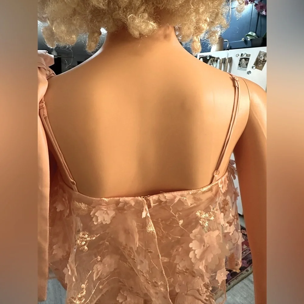ASOS light pink/nude dainty flower cut out sheer dress sz 4 - NWT